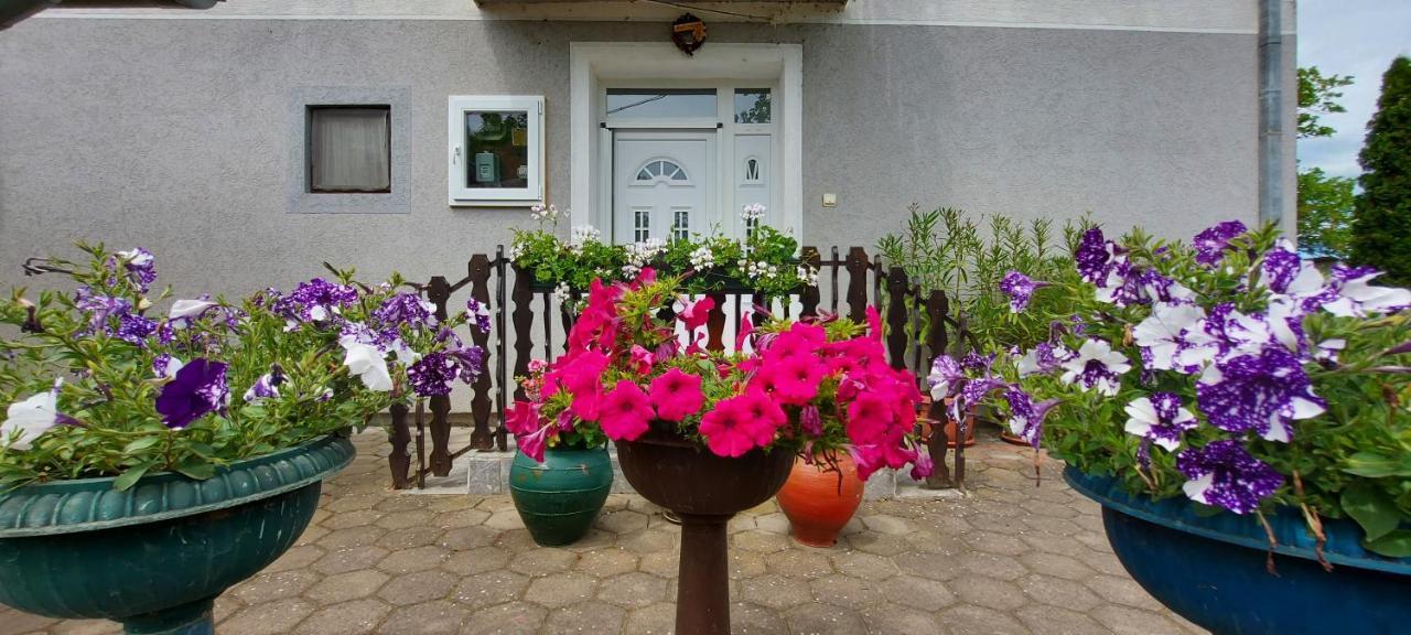 Guest House Dunavski Raj Kostol Exterior photo